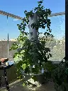 תמונה של WhatsApp‏ 2025-07-09 בשעה 15.34.24_eb01704d.webp