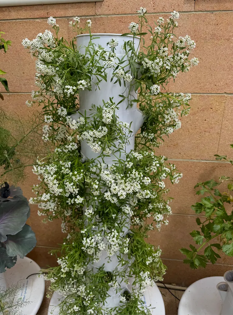 צילום מסך 2025-10-13 ב-17.50.25.webp