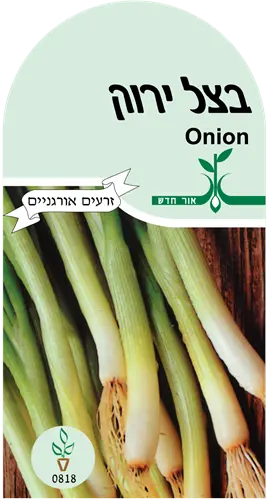 זרעים להנבטה