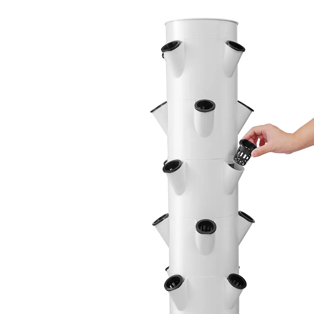 קומת גידול נוספת