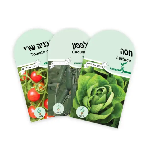 זרעים להנבטה