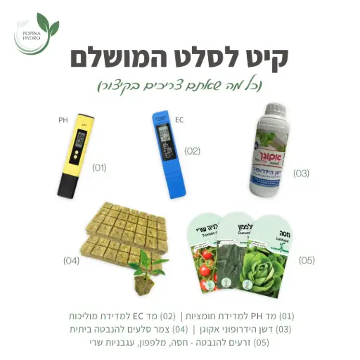 קיט לסלט המושלם