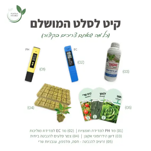 קיט לסלט המושלם