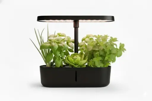 מכשיר גידול הידרופוני ביתי עם תאורת LED - צבע שחור